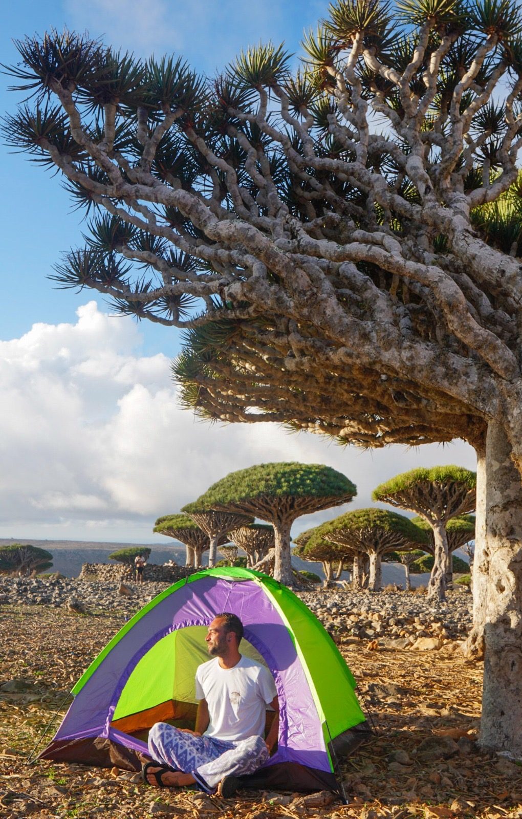 Socotra Truly a once in a lifetime adventure, and I'm excited